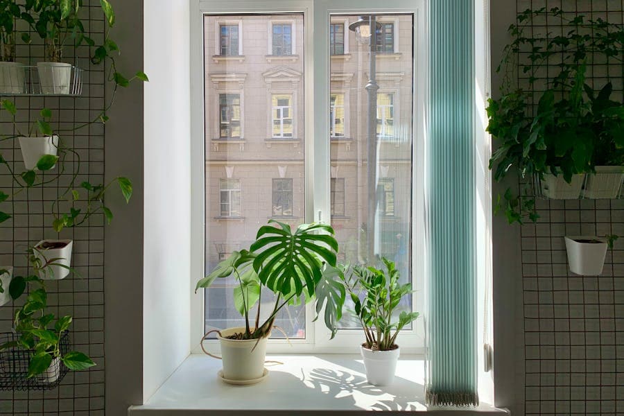 pexels-elgolovchenko-12445905 (1).jpg